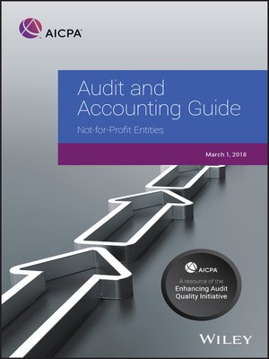 cover image of Audit and Accounting Guide